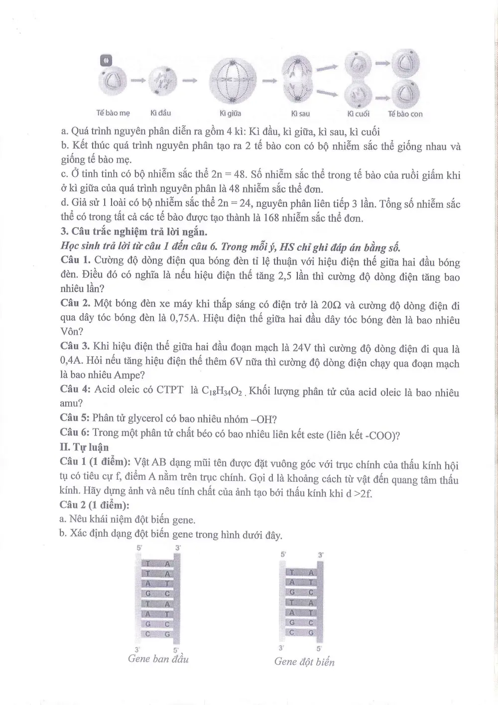 Đề thi Giữa kì 2 KHTN 9 năm 2025-2026 trường THCS Ngọc Lâm (Hà Nội) - trang 11