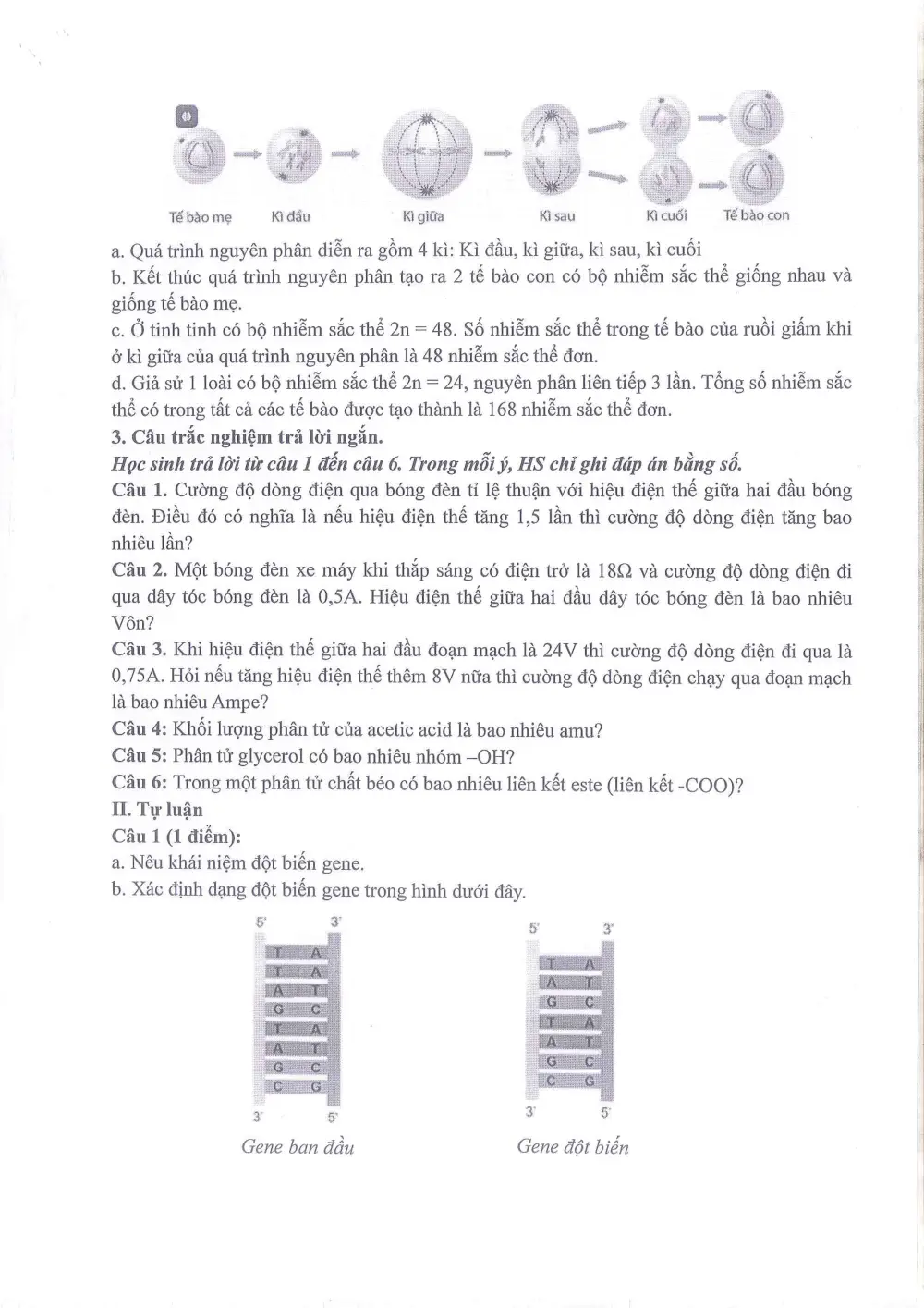 Đề thi Giữa kì 2 KHTN 9 năm 2025-2026 trường THCS Ngọc Lâm (Hà Nội) - trang 3