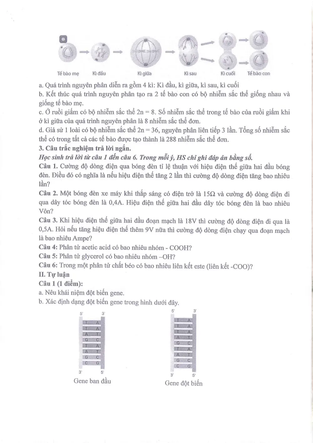 Đề thi Giữa kì 2 KHTN 9 năm 2025-2026 trường THCS Ngọc Lâm (Hà Nội) - trang 7