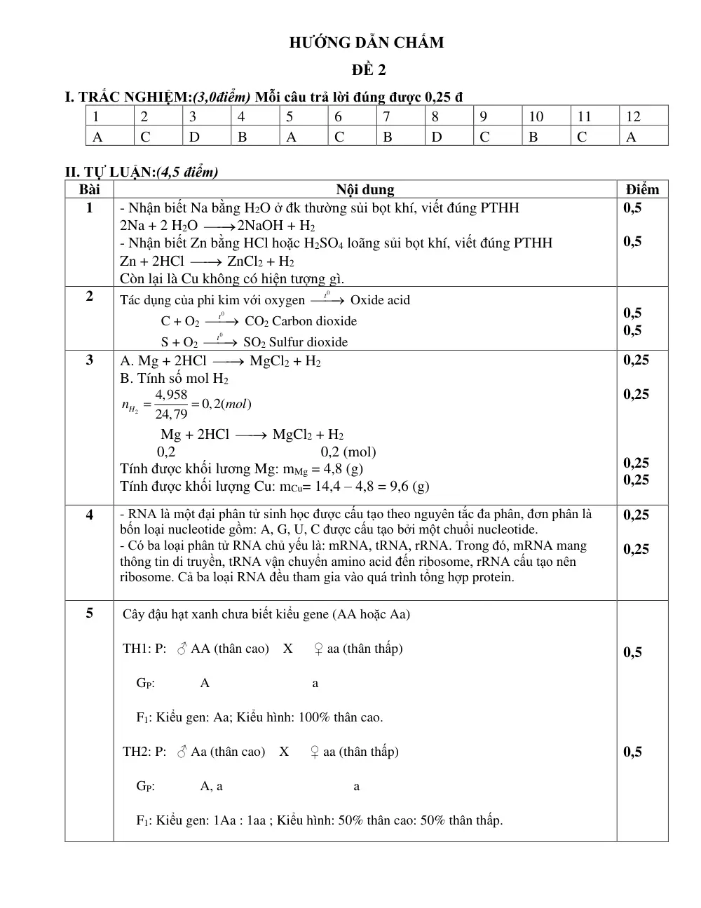 Đề thi Giữa kì 1 KHTN 9 năm 2024-2025 trường THCS Phước Bửu (Bà Rịa - Vũng Tàu) - trang 14