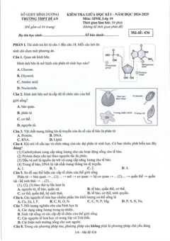 Trang đầu Đề thi Giữa kì 1 Sinh học 10 năm 2024-2025 trường THPT Dĩ An (Bình Dương)