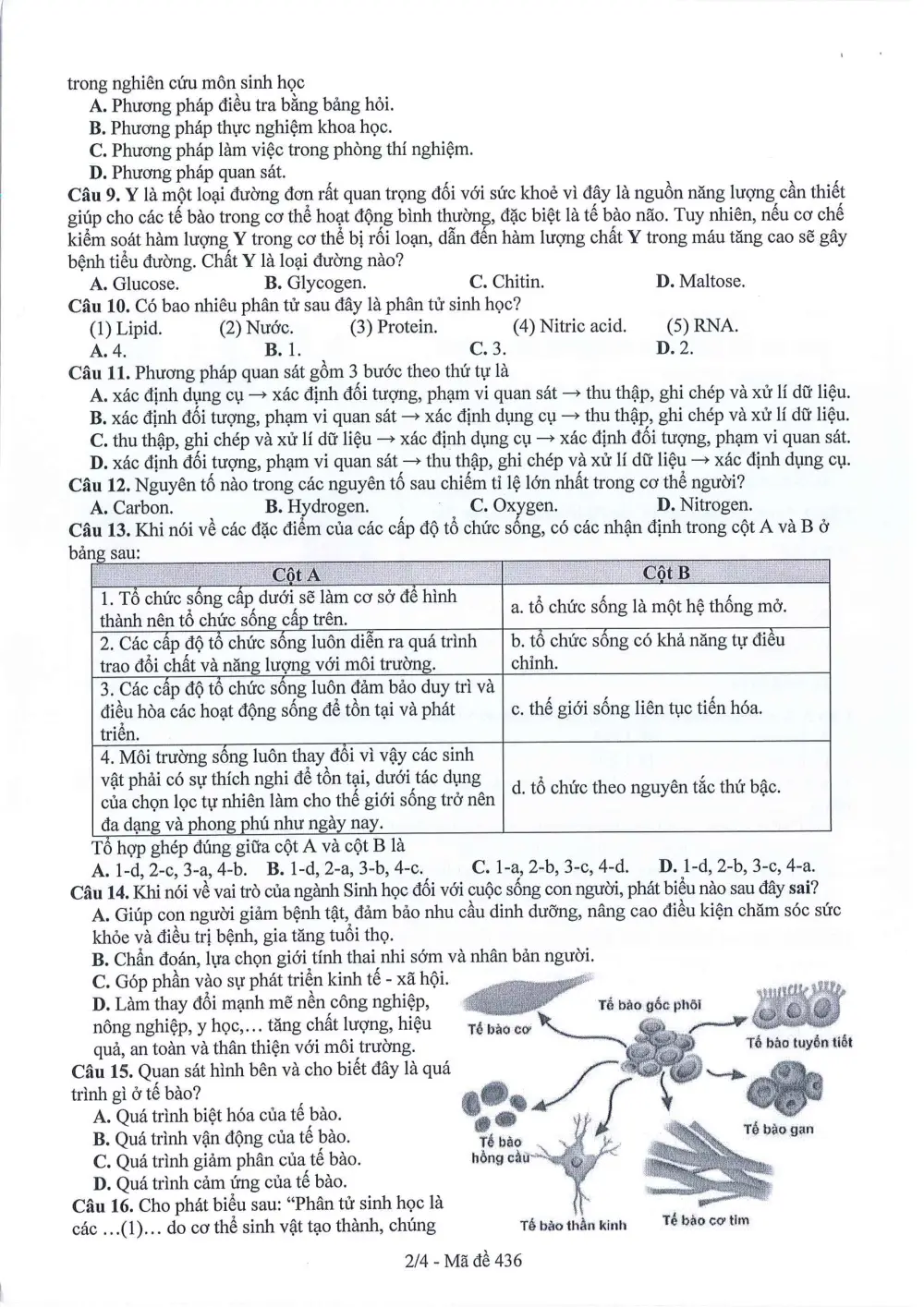Đề thi Giữa kì 1 Sinh học 10 năm 2024-2025 trường THPT Dĩ An (Bình Dương) - trang 2