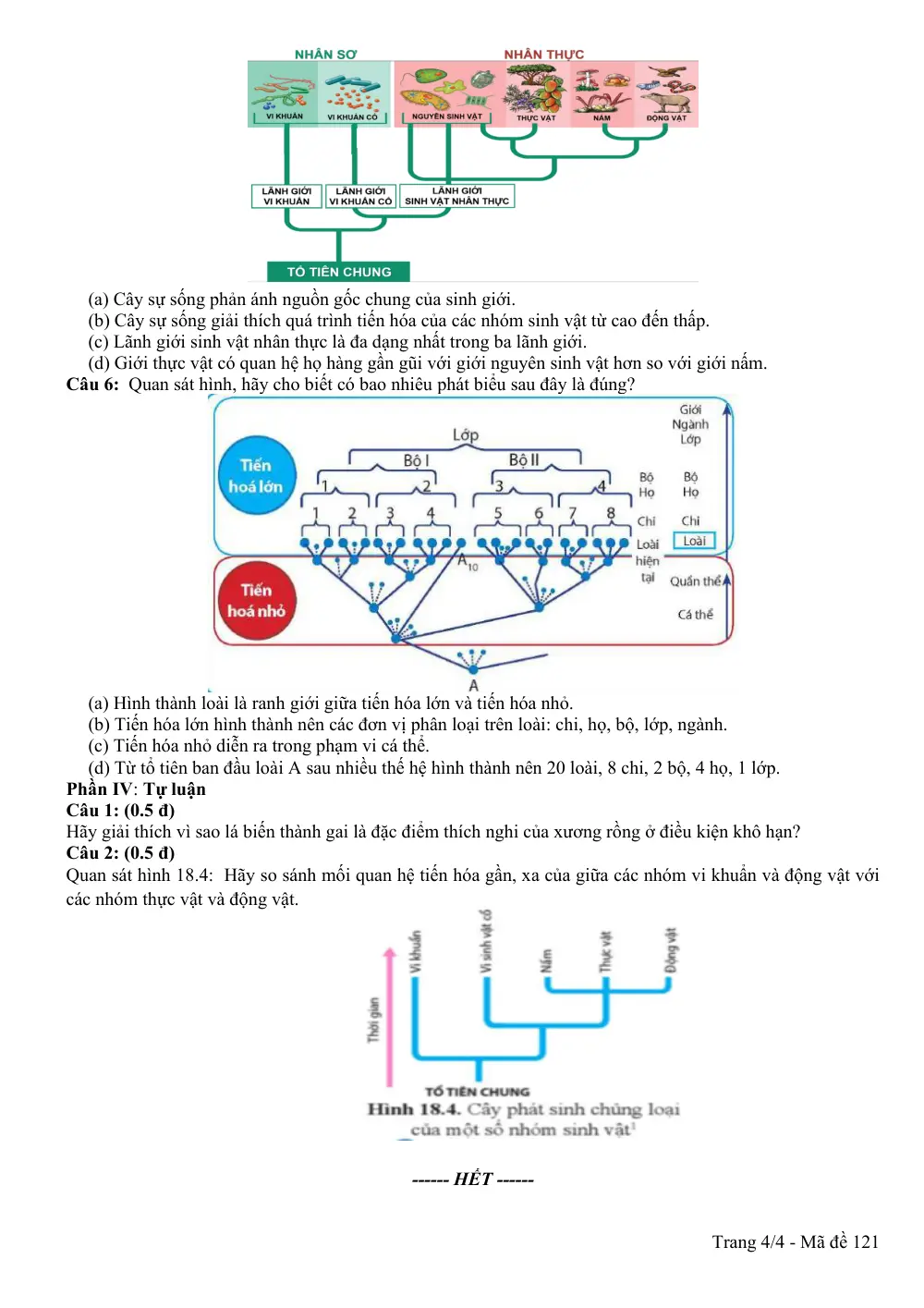 Đề thi Giữa kì 2 Sinh học 12 năm 2025-2026 trường THPT Duy Tân (Quảng Ngãi) - trang 4