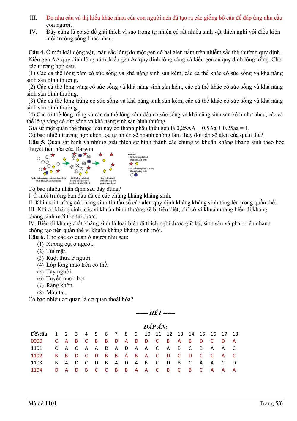 Đề thi Giữa kì 2 Sinh học 12 năm 2025-2026 trường THPT Xuyên Mộc (TP Hồ Chí Minh) - trang 5