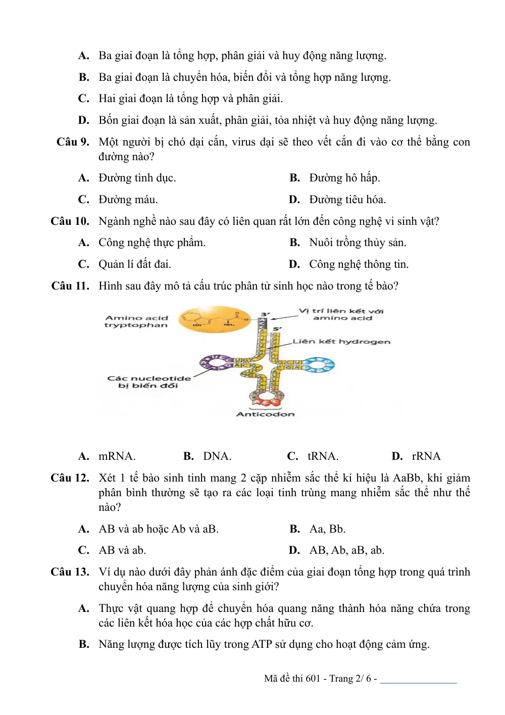 Đề Khảo sát đầu năm Sinh học 11 năm 2024-2025 trường THPT Thuận Thành số 1 (Bắc Ninh) - trang 2