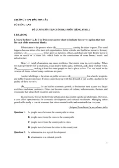 Trang đầu Đề cương ôn tập Học kì 1 Tiếng Anh 12 năm 2024-2025 trường THPT Đào Sơn Tây (TP Hồ Chí Minh)