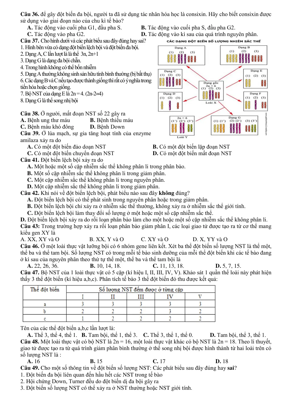 Đề cương ôn tập Học kì 1 Sinh học 12 năm 2024-2025 trường THPT Yên Dũng số 2 (Bắc Ninh) - trang 7