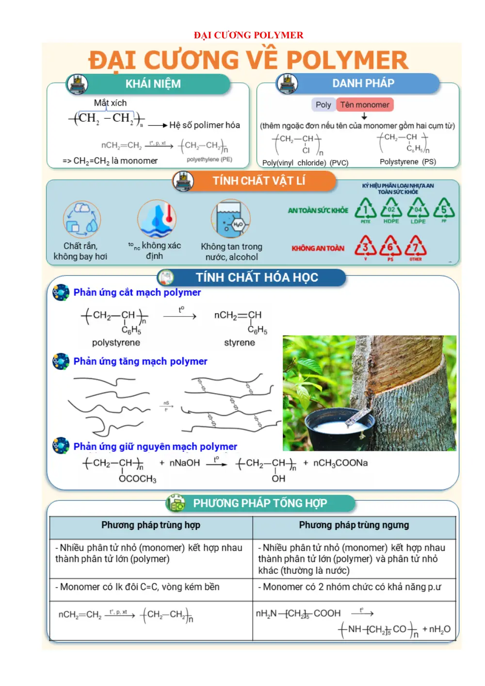 Đề cương ôn tập Học kì 1 Hóa học 12 năm 2025-2026 trường THPT Lương Văn Chánh (Đắk Lắk) - trang 11