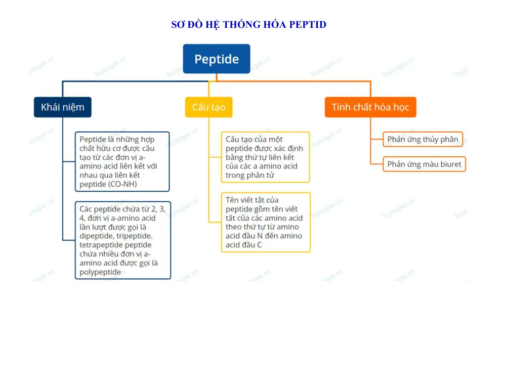 Đề cương ôn tập Học kì 1 Hóa học 12 năm 2024-2025 trường THPT Lương Văn Chánh (Đắk Lắk) - trang 7