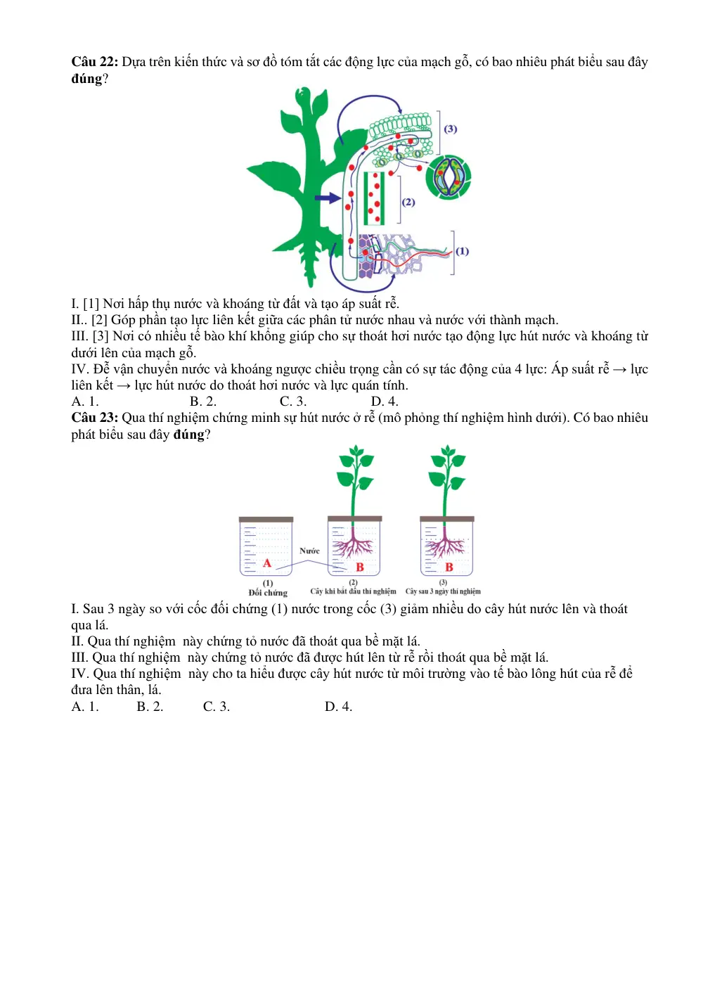 Đề cương ôn tập Giữa kì 1 Sinh học 11 năm 2025-2026 trường THPT Bùi Thị Xuân (Lâm Đồng) - trang 4