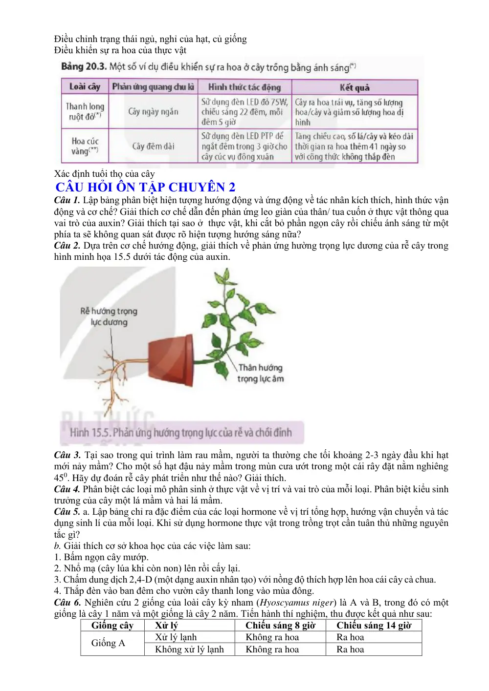 Đề cương ôn tập Giữa kì 1 Sinh học 11 năm 2025-2026 trường THPT chuyên Lương Văn Chánh (Đắk Lắk) - trang 16