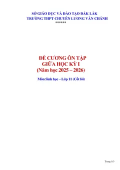 Trang đầu Đề cương ôn tập Giữa kì 1 Sinh học 11 năm 2025-2026 trường THPT chuyên Lương Văn Chánh (Đắk Lắk)