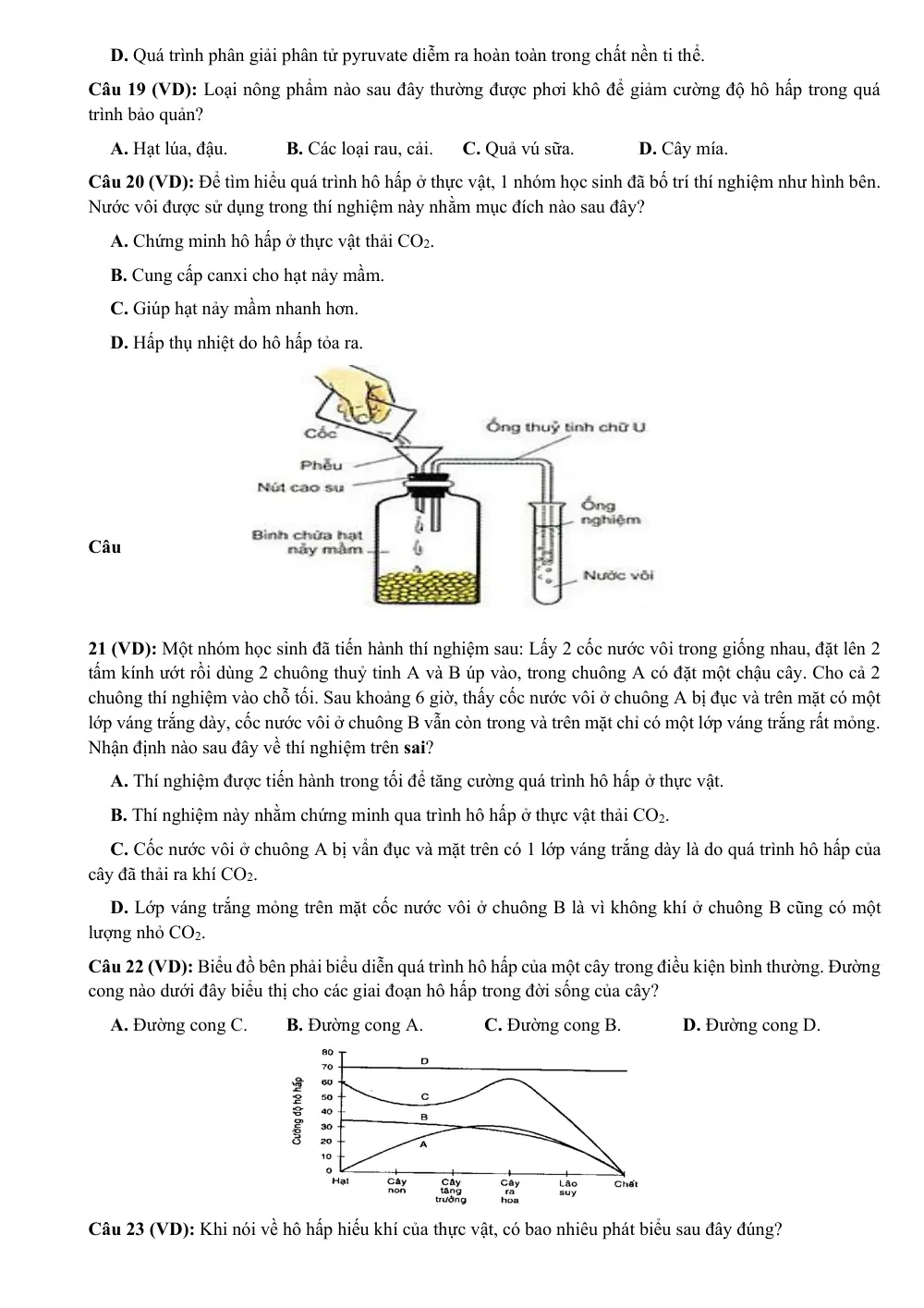 Đề cương ôn tập Giữa kì 1 Sinh học 11 năm 2023-2024 trường THPT Lê Quý Đôn (Đắk Lắk) - trang 11