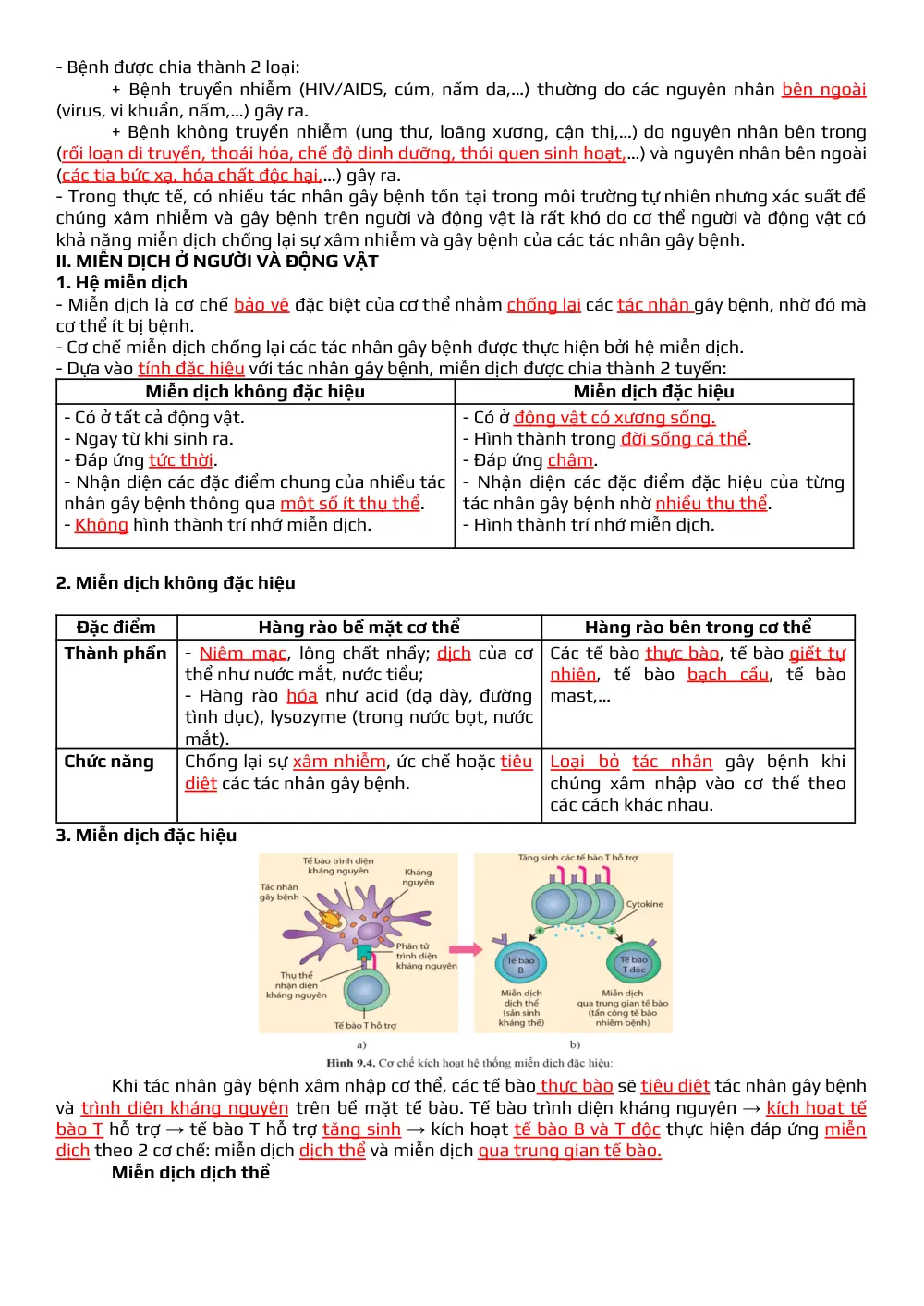 Đề cương ôn tập Học kì 1 Sinh học 11 năm 2025-2026 trường THPT Đức Trọng (Lâm Đồng) - trang 3