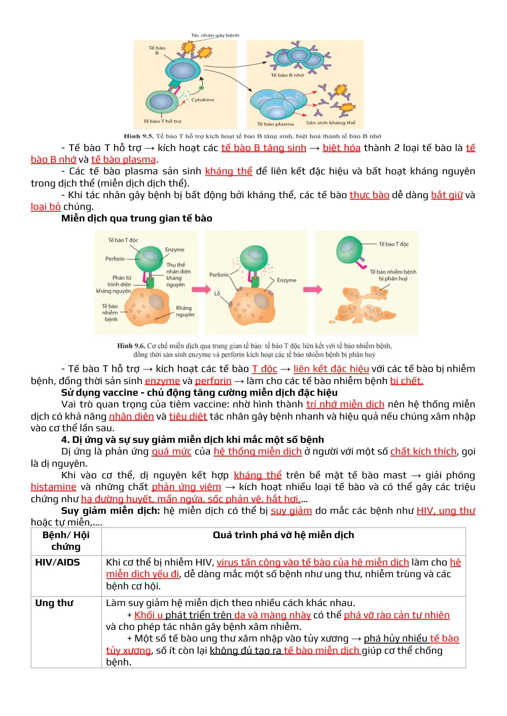 Đề cương ôn tập Học kì 1 Sinh học 11 năm 2025-2026 trường THPT Đức Trọng (Lâm Đồng) - trang 4