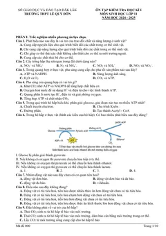 Trang đầu Đề cương ôn tập Học kì 1 Sinh học 11 năm 2024-2025 trường THPT Lê Quý Đôn (Đắk Lắk)