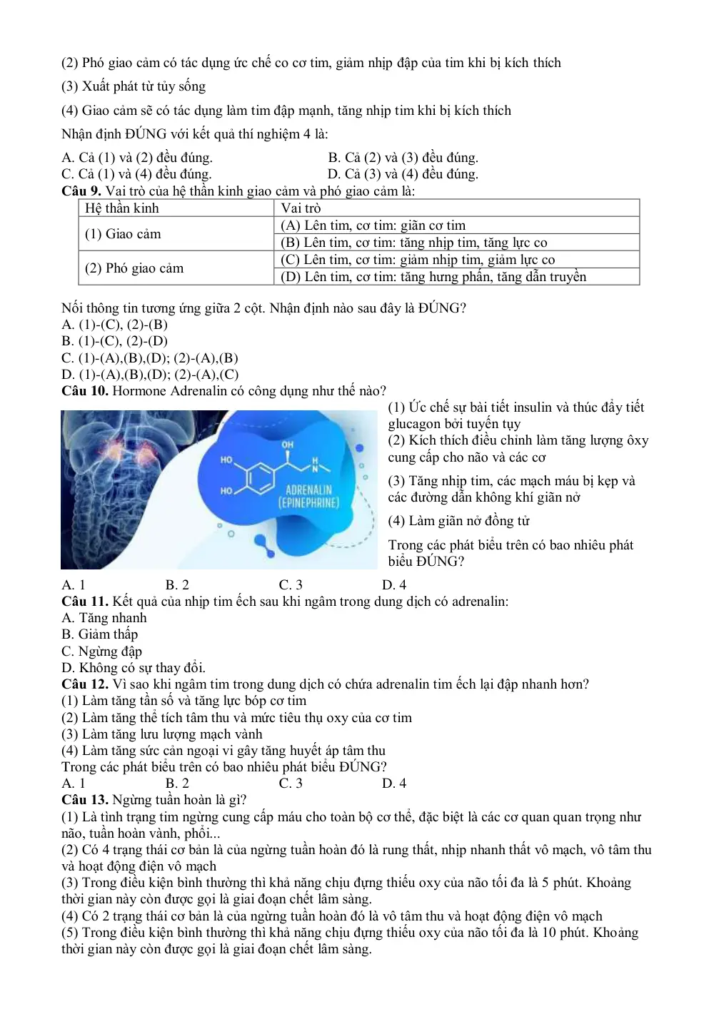 Đề cương ôn tập Học kì 1 Sinh học 11 năm 2024-2025 trường THPT Phước Long (TP Hồ Chí Minh) - trang 12