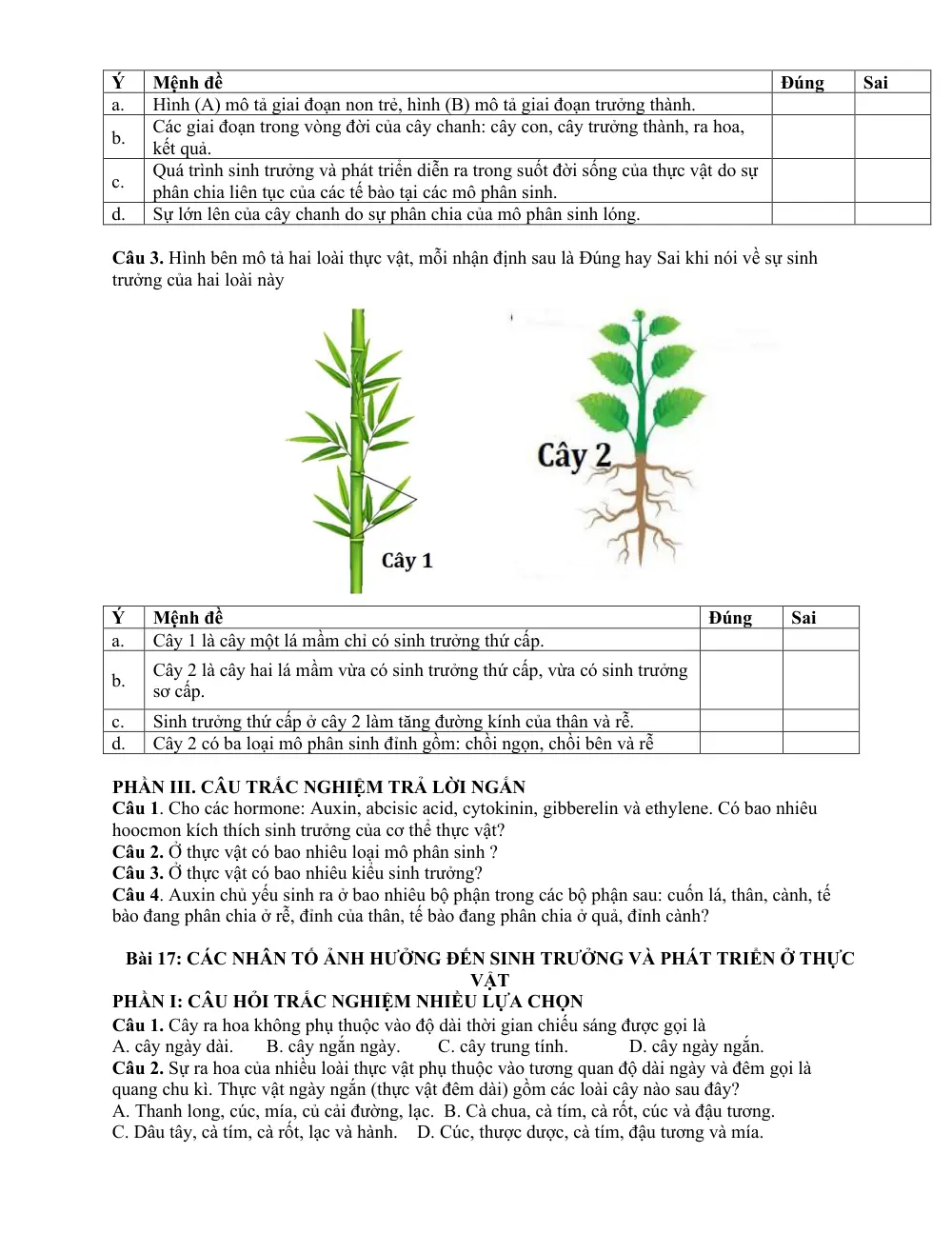 Đề cương ôn tập Giữa kì 2 Sinh học 11 năm 2025-2026 trường THPT Bùi Thị Xuân (Lâm Đồng) - trang 13