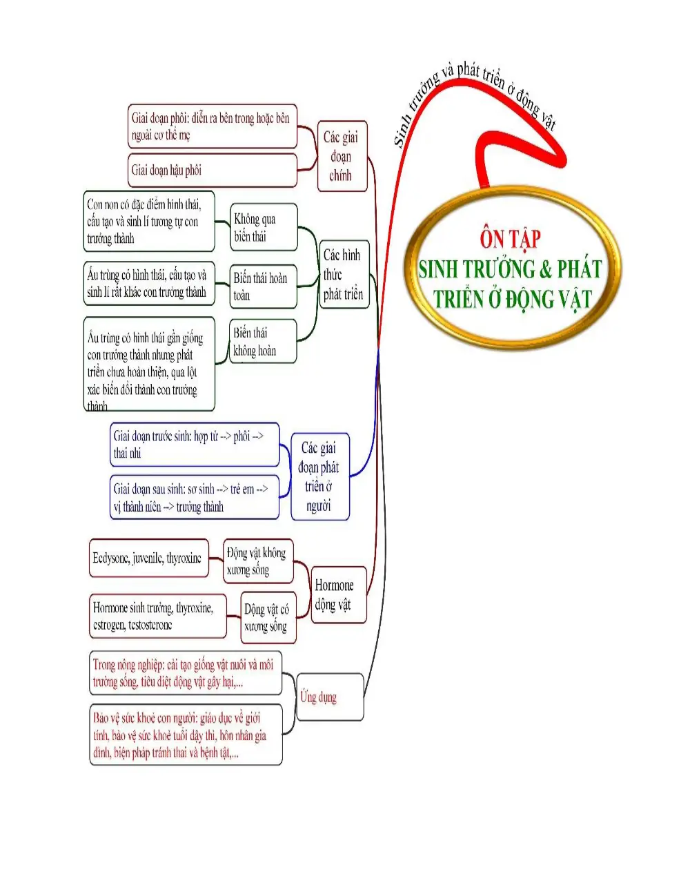 Đề cương ôn tập Giữa kì 2 Sinh học 11 năm 2025-2026 trường THPT Bùi Thị Xuân (Lâm Đồng) - trang 3