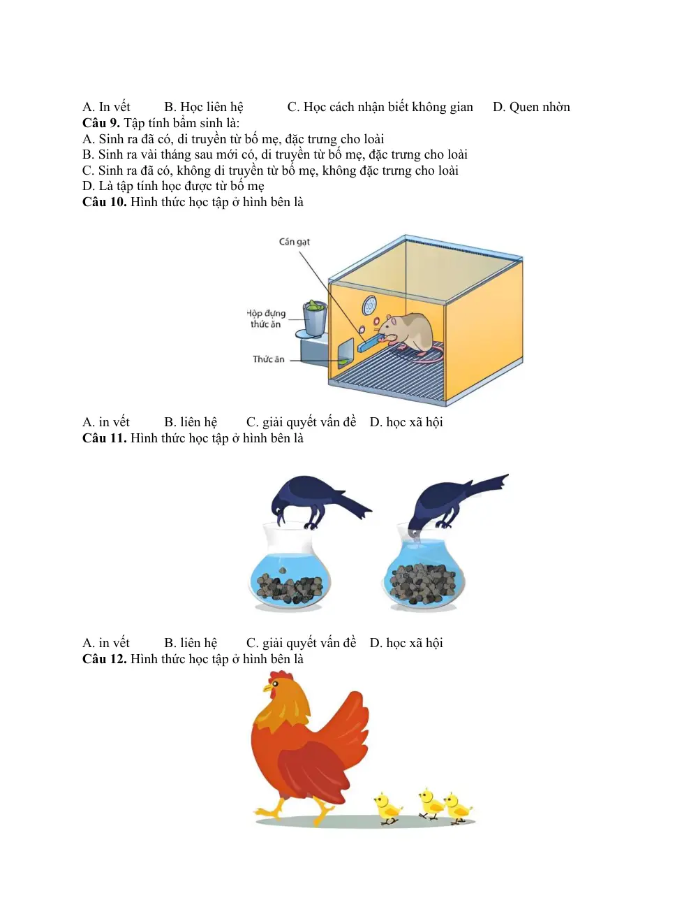 Đề cương ôn tập Giữa kì 2 Sinh học 11 năm 2025-2026 trường THPT Bùi Thị Xuân (Lâm Đồng) - trang 7