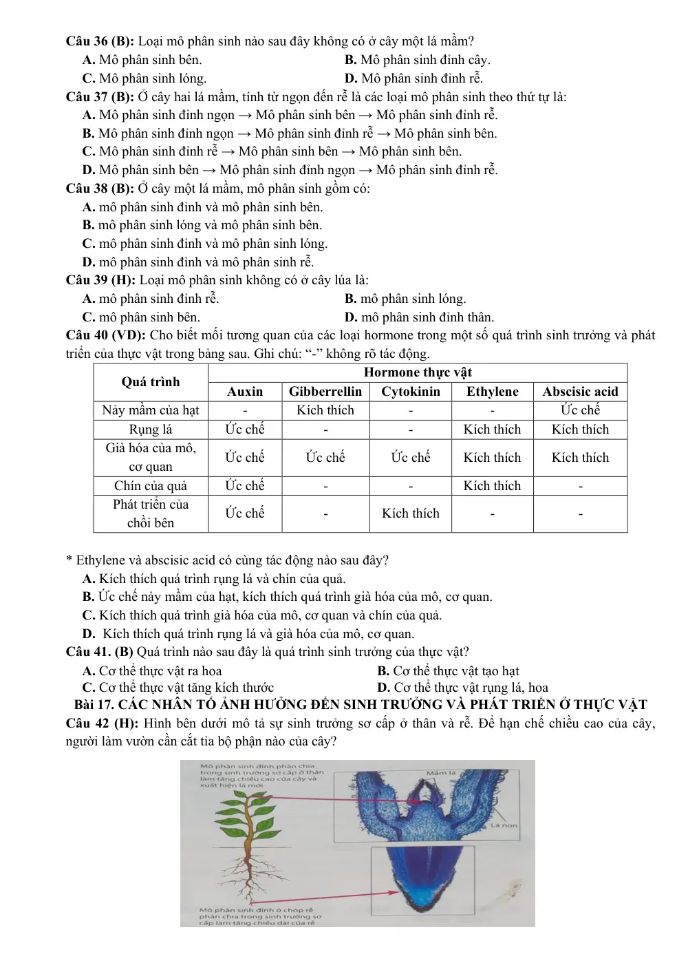 Đề cương ôn tập Giữa kì 2 Sinh học 11 năm 2024-2025 trường THPT Lê Quý Đôn (Đắk Lắk) - trang 4