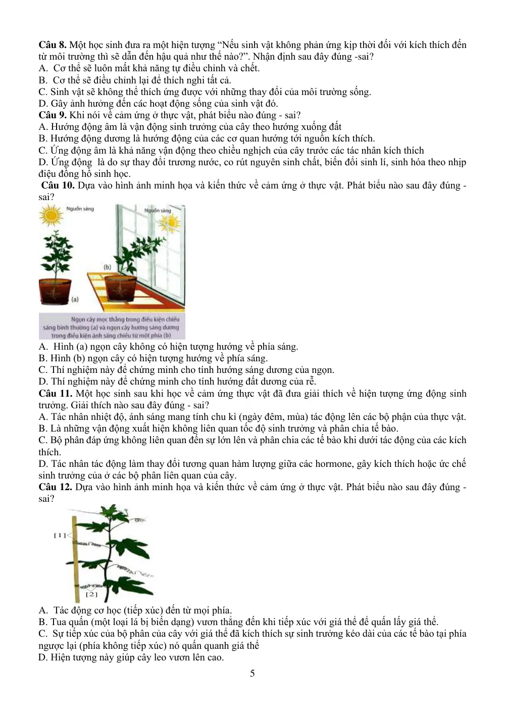 Đề cương ôn tập Giữa kì 2 Sinh học 11 năm 2024-2025 trường THPT Phước Long (TP Hồ Chí Minh) - trang 5
