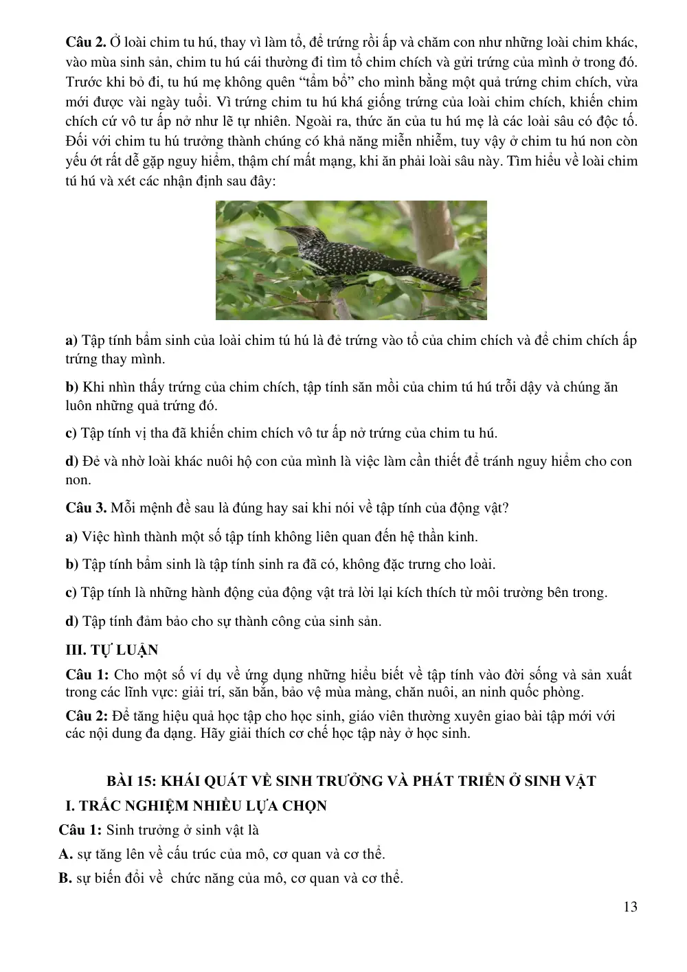 Đề cương ôn tập Học kì 2 Sinh học 11 năm 2024-2025 trường THPT An Khánh (Cần Thơ) - trang 13