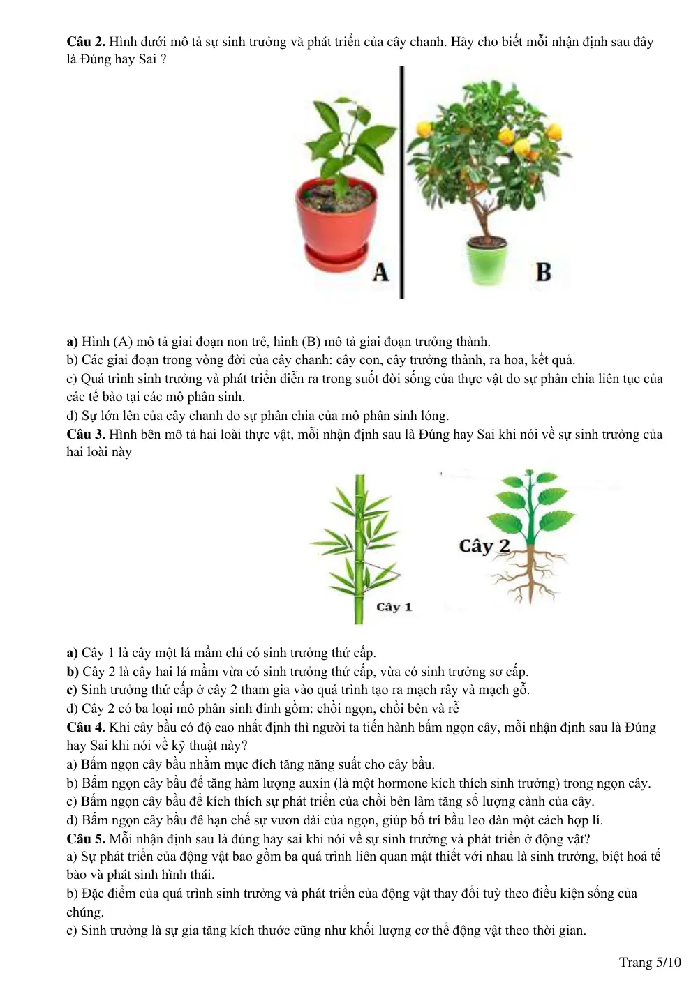 Đề cương ôn tập Học kì 2 Sinh học 11 năm 2024-2025 trường THPT Lê Quý Đôn (Đắk Lắk) - trang 5