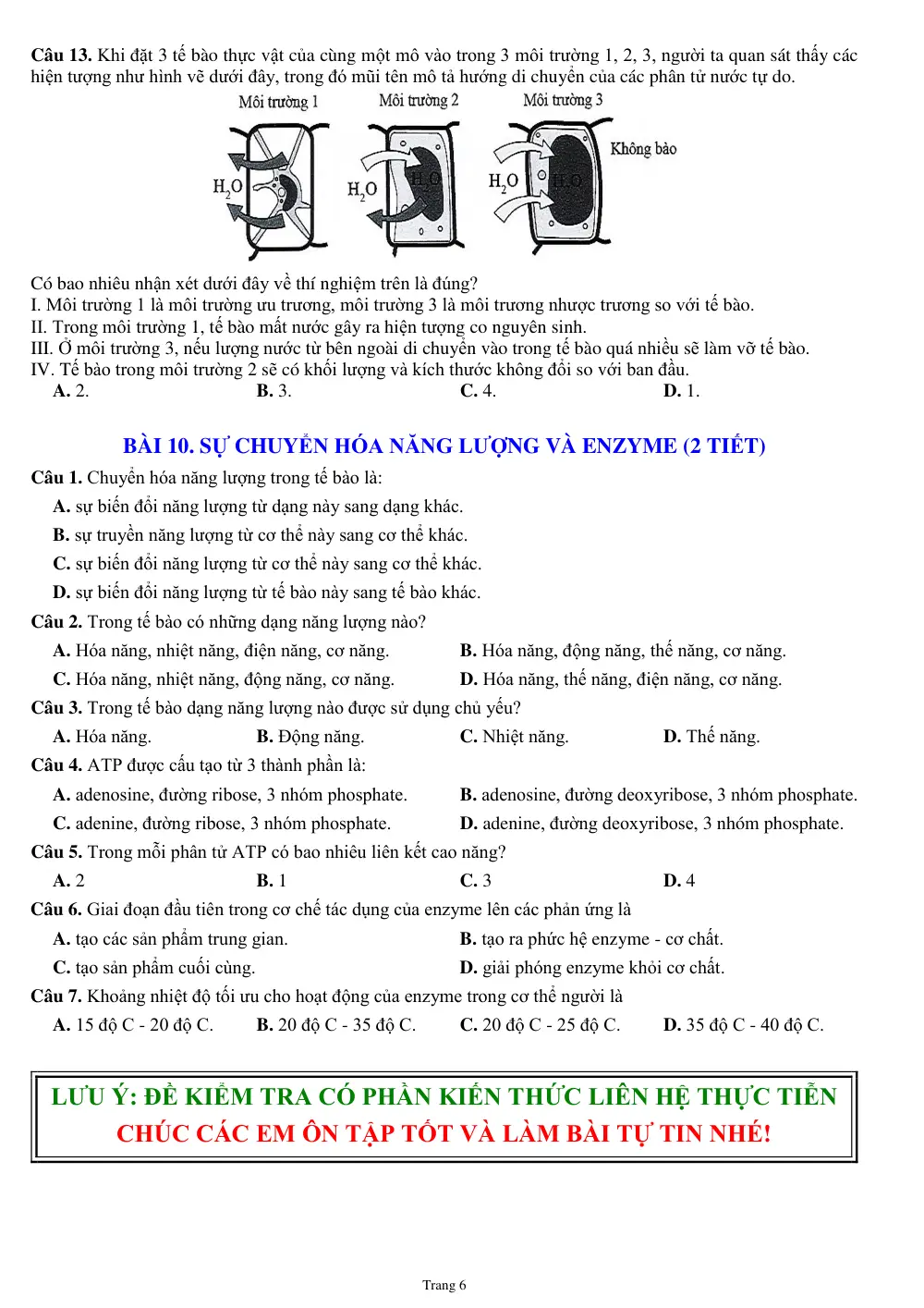 Đề cương ôn tập Học kì 1 Sinh học 10 năm 2023-2024 trường THPT Linh Trung (TP Hồ Chí Minh) - trang 6