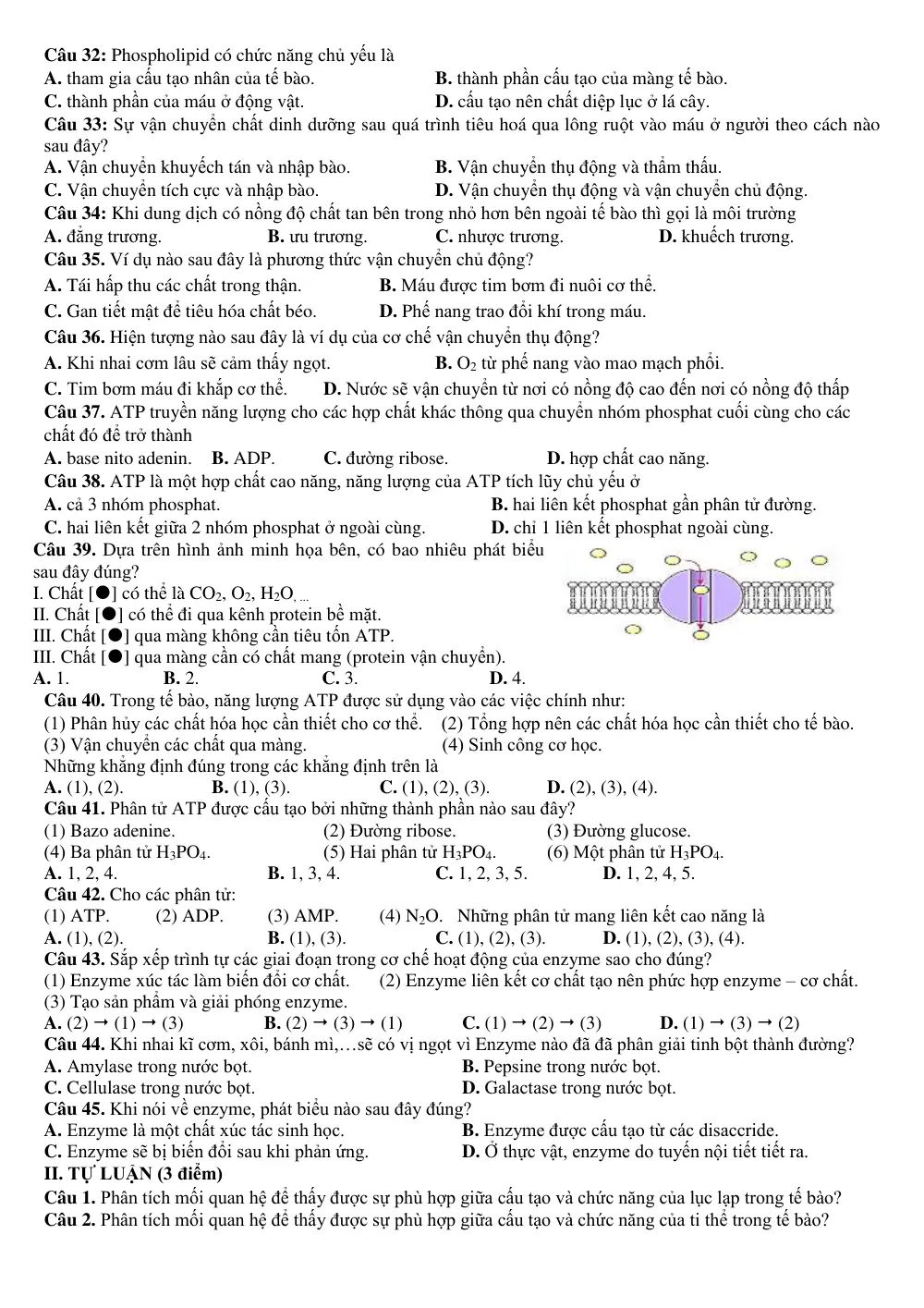 Đề cương ôn tập Học kì 1 Sinh học 10 năm 2024-2025 trường THPT Thanh Khê (Đà Nẵng) - trang 3