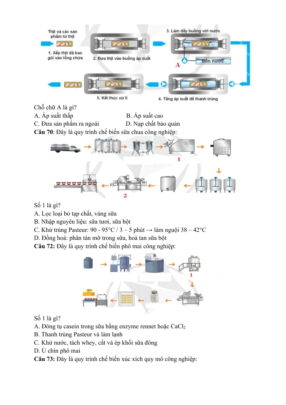 Đề cương ôn tập Học kì 2 Công nghệ Nông nghiệp 11 năm 2025-2026 trường THPT Hàn Thuyên (Bắc Ninh) - trang 12