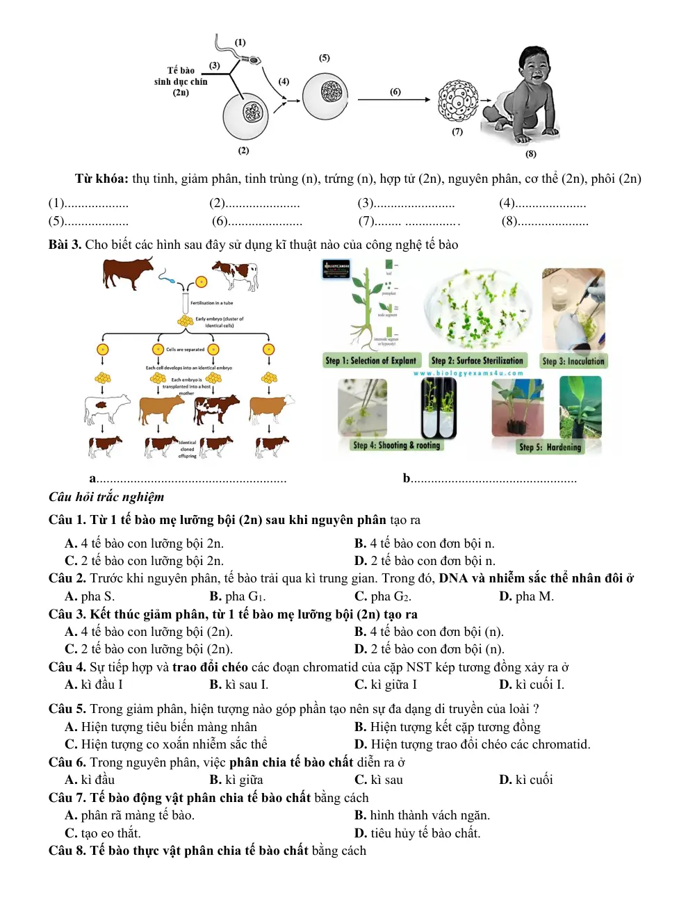 Đề cương ôn tập Giữa kì 2 Sinh học 10 năm 2023-2024 trường THPT Hoàng Văn Thụ (Hà Nội) - trang 4