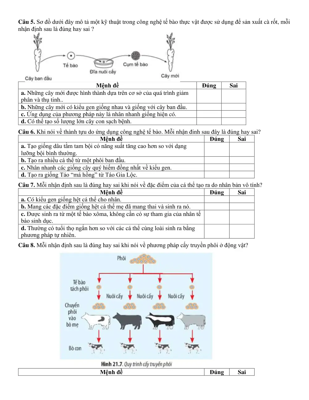 Đề cương ôn tập Giữa kì 2 Sinh học 10 năm 2025-2026 trường THPT Hàn Thuyên (Bắc Ninh) - trang 9