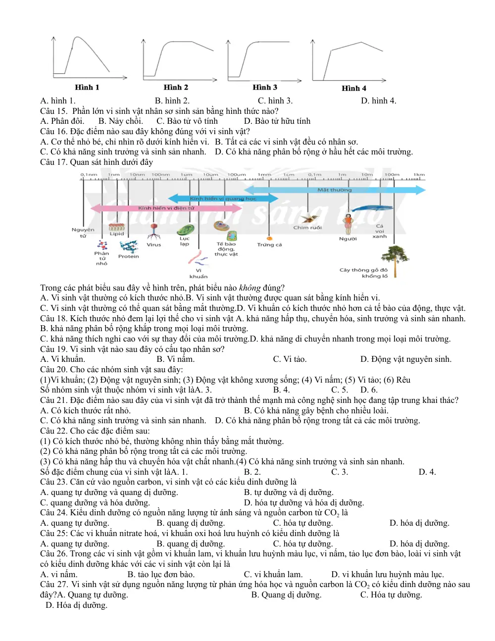 Đề cương ôn tập Giữa kì 2 Sinh học 10 năm 2025-2026 trường THPT Đức Trọng (Lâm Đồng) - trang 10