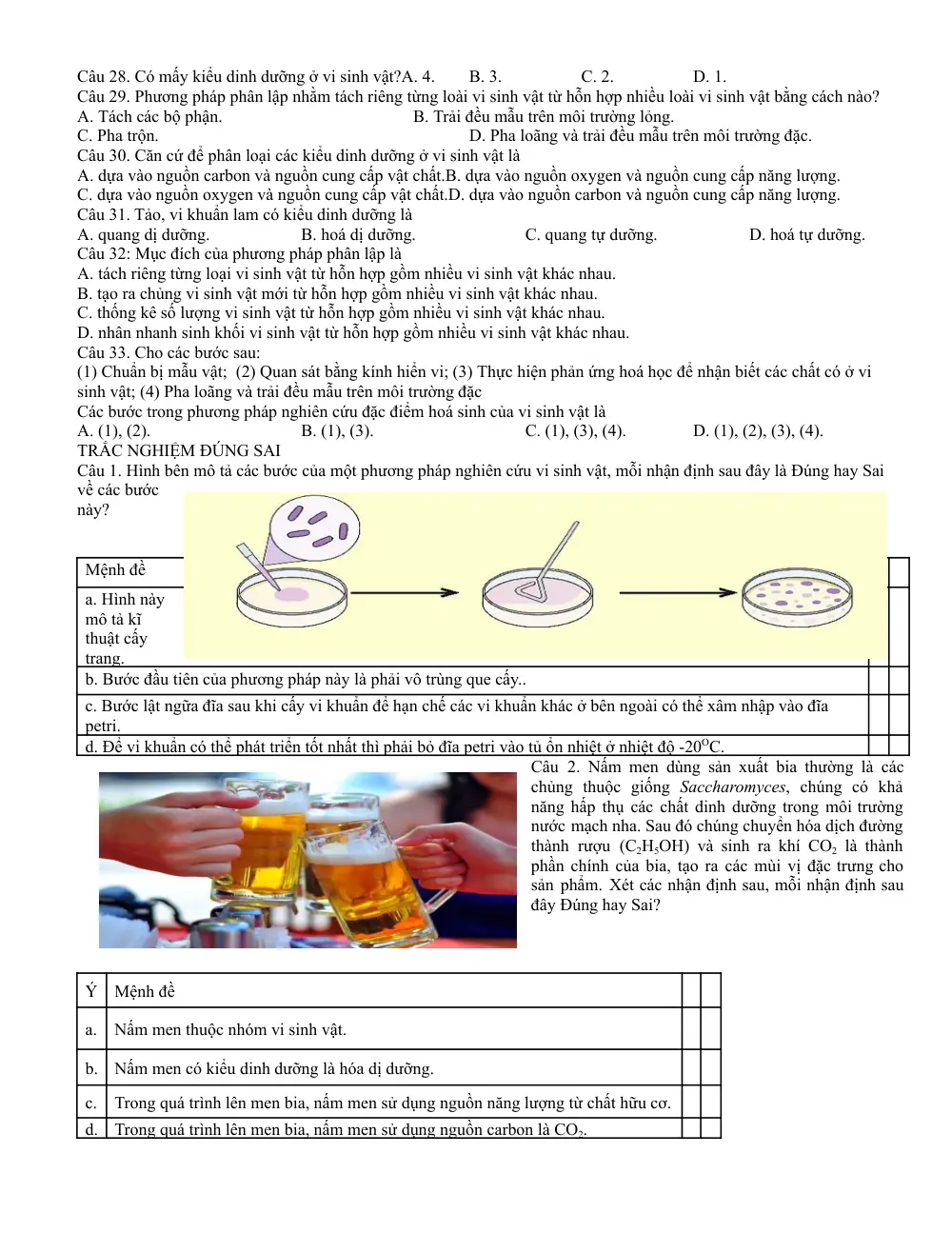 Đề cương ôn tập Giữa kì 2 Sinh học 10 năm 2025-2026 trường THPT Đức Trọng (Lâm Đồng) - trang 11