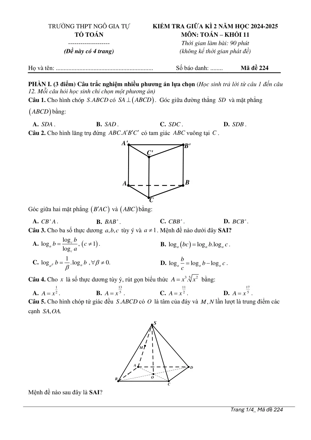 Đề thi Giữa kì 2 Toán 11 năm 2024-2025 trường THPT Ngô Gia Tự (Phú Yên) - trang 1