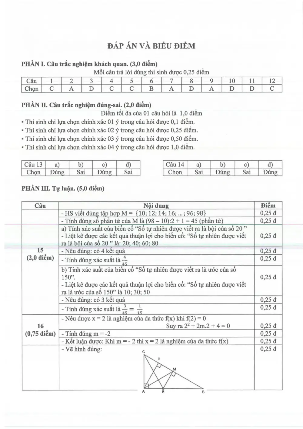 Đề thi Giữa kì 2 Toán 7 năm 2024-2025 trường THCS Chu Văn An (Bình Dương) - trang 8