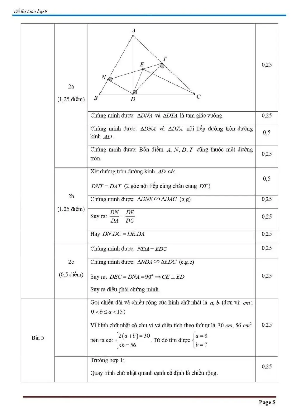 Đề thi Học kì 2 Toán 9 năm 2024-2025 phòng GD&ĐT Cầu Giấy (Hà Nội) - trang 5