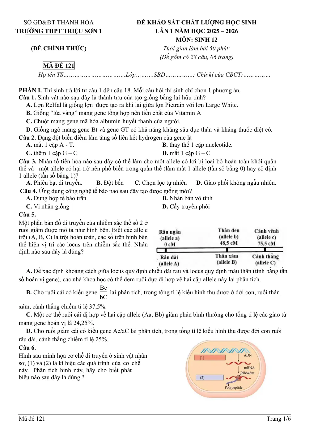 Đề thi thử Tốt nghiệp THPT Sinh học 2025 - 2026 trường THPT Triệu Sơn 1 (Thanh Hóa) - trang 1
