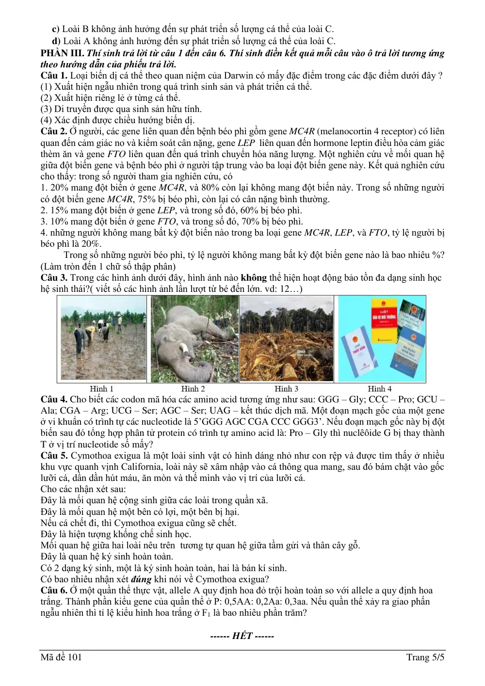 Đề thi thử Tốt nghiệp THPT Sinh học 2025 - 2026 trường THPT Hậu Lộc 1 (Thanh Hóa) - trang 5