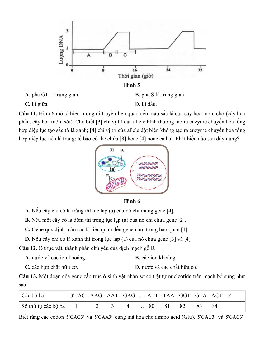 Đề thi thử Tốt nghiệp THPT Sinh học 2025 - 2026 Sở Hà Nội - trang 4
