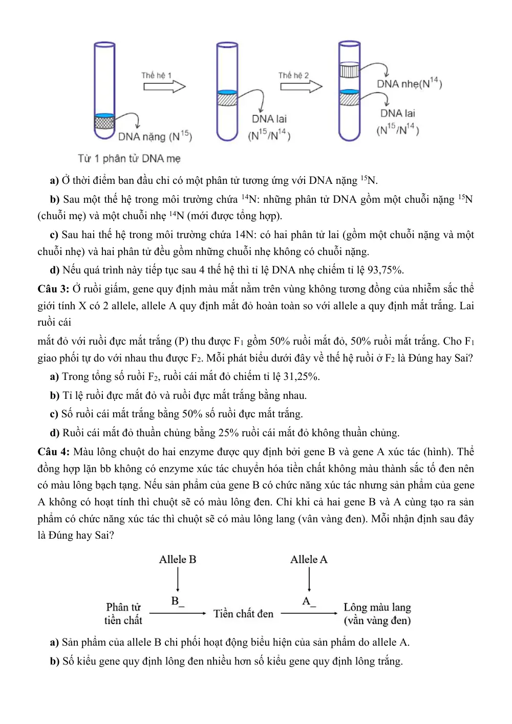 Đề thi thử Tốt nghiệp THPT Sinh học 2025 - 2026 trường THPT chuyên Thoại Ngọc Hầu (An Giang) - trang 5