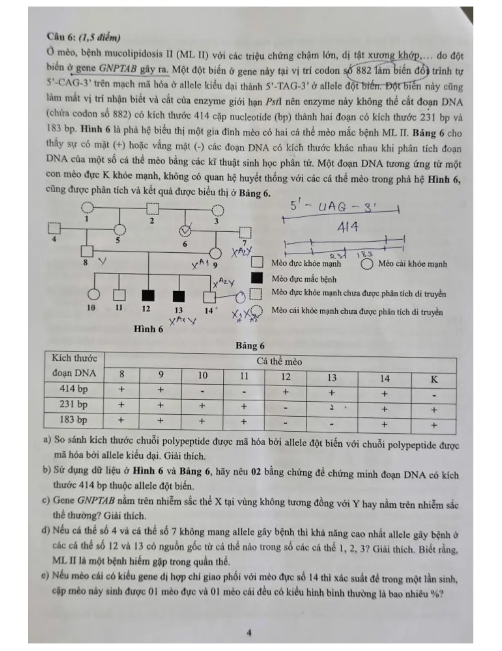Đề tuyển sinh vào lớp 10 Sinh học năm 2026 trường THPT chuyên KHTN (Hà Nội) - trang 4