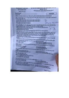 Trang đầu Đề chính thức Vật lí năm 2026 Tốt nghiệp THPT (Mã đề 0230)
