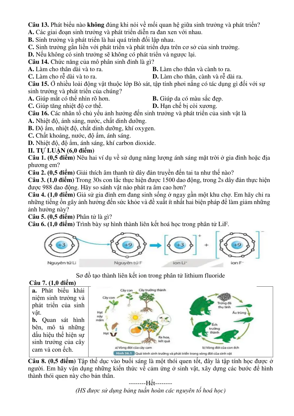 Đề thi Giữa kì 2 KHTN 7 năm 2024-2025 trường THCS Nguyễn Trãi (Quảng Nam) - trang 6