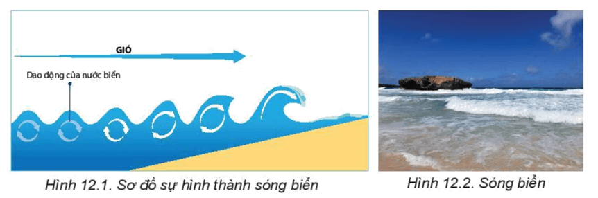 Sóng biển và nguyên nhân sinh ra sóng biển (chủ yếu do gió)