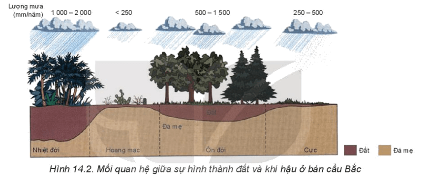 Bản đồ phân bố các nhóm đất chính trên bề mặt Trái Đất