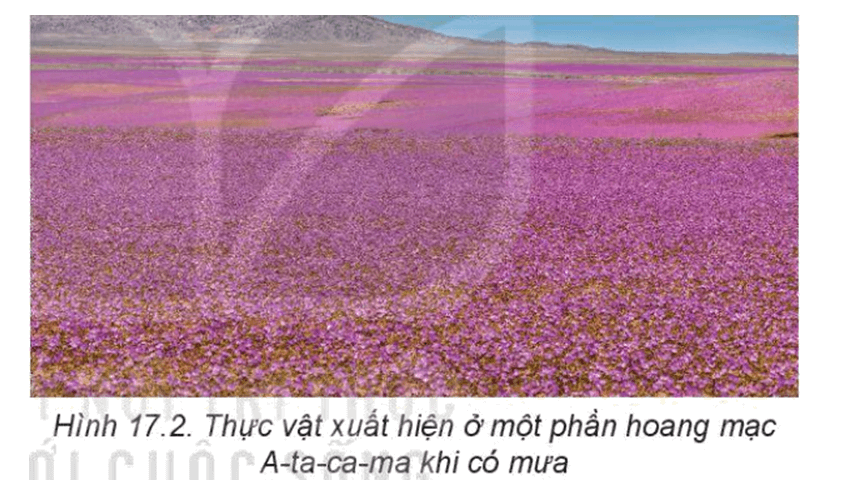 Sơ đồ biểu hiện quy luật thống nhất và hoàn chỉnh của vỏ địa lí khi một thành phần biến đổi