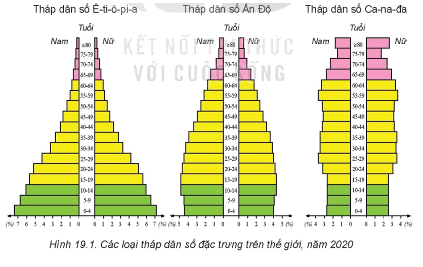 Cơ cấu dân số thế giới theo nhóm tuổi và tỉ số giới tính qua các nhóm nước