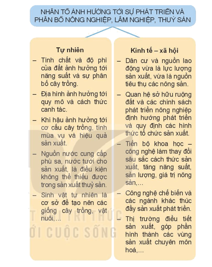 Sơ đồ các nhân tố ảnh hưởng tới sự phát triển và phân bố nông nghiệp, lâm nghiệp, thủy sản